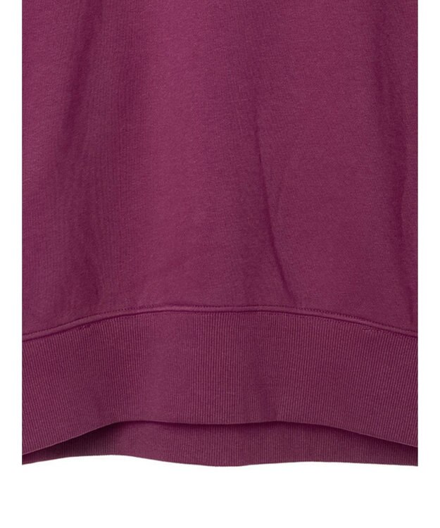 Green Parks ・ＳＵＧＡＲ　ＳＰＯＯＮ　ウラキモウオーバースウェット Plum