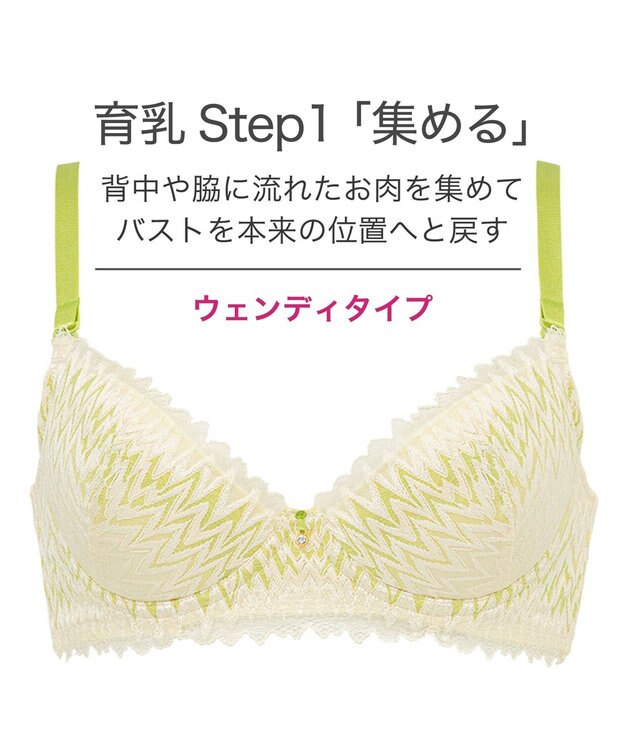 BRADELIS New York 【BRADELIS New York】ウェンディステップ１ブラ23S1 ふんわり包んで土台を作る育乳補整ブラ 補正下着 ライトグリーン