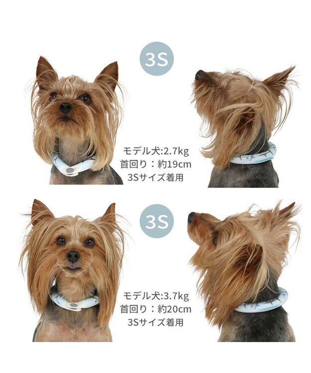 PET PARADISE ペットパラダイス ２８℃ クールリング ３Ｓ 《サメ柄》 ブルー