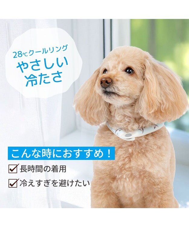 PET PARADISE ペットパラダイス ２８℃ クールリング ３Ｓ 《サメ柄》 ブルー
