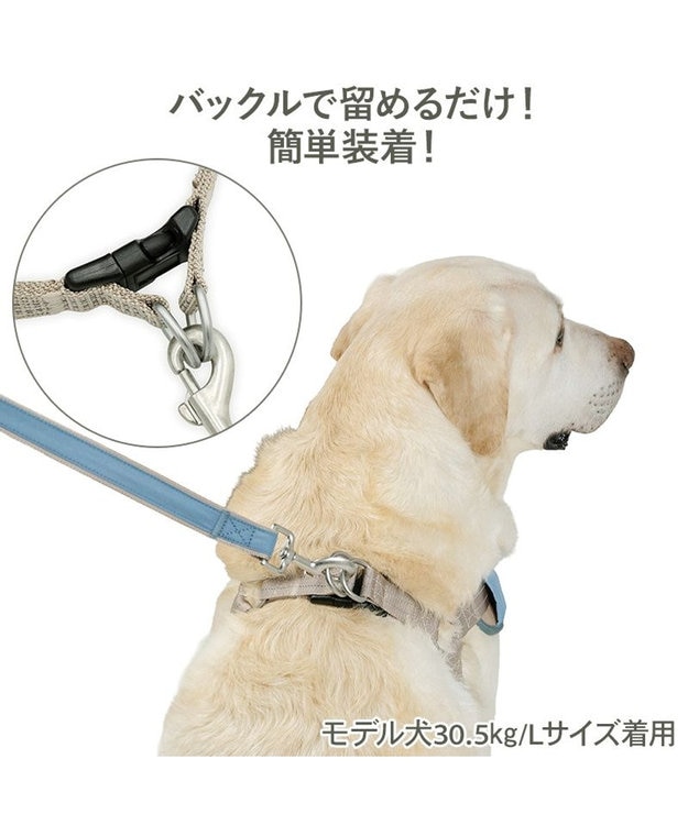 PET PARADISE ペットパラダイス 超反射 切り替え ハーネス＆リード Ｌ 《ブルーグリーン》 ブルーグリーン