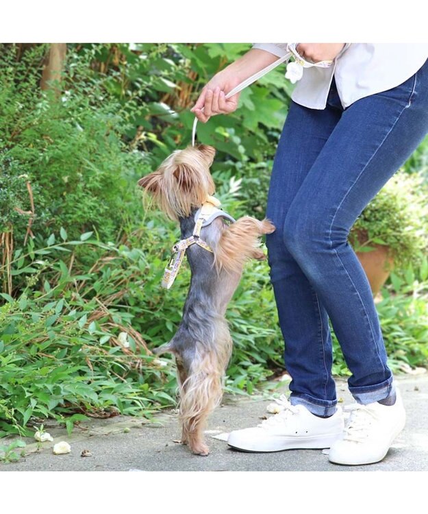 PET PARADISE スヌーピー リード&ハーネス 《パーティ柄》 S 小型犬 パーティ柄