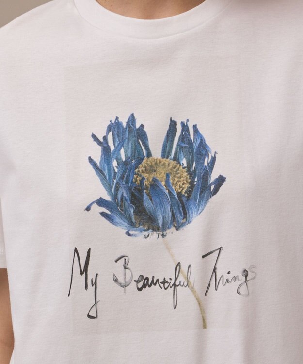 GRACE CONTINENTAL カットフォトTシャツ ホワイト