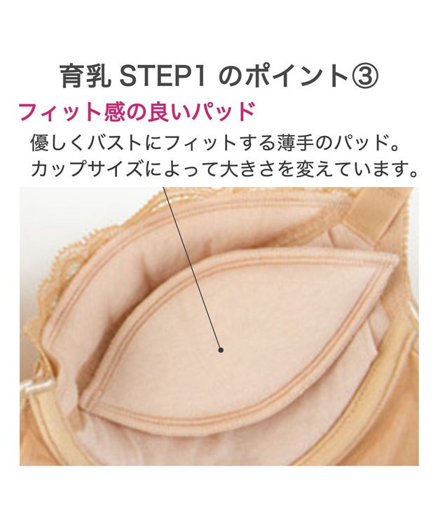 BRADELIS New York 【BRADELIS New York / 育乳ブラ・STEP1 集める】 ジャスミンブラ しっかりバストを集めてナチュラルなシルエットを作る補整ブラ CA115111 ナチュラル