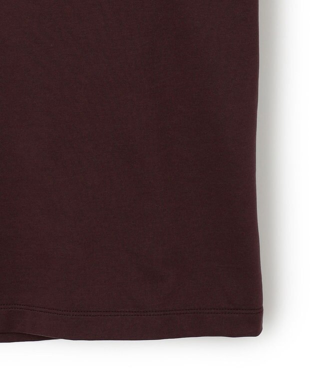 JOSEPH HOMME スビンソフトジャージー　タートルネックカットソー ブラウン系