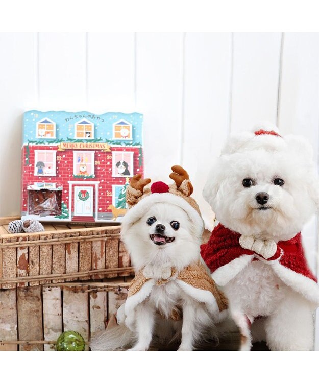 PET PARADISE 2024 クリスマス アドベントカレンダー おやつ 国産 0