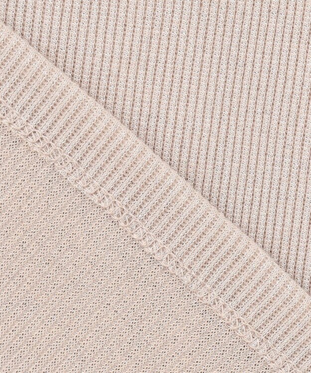 ANY L 【洗濯機可】ラメテレコTシャツ ベージュラメ