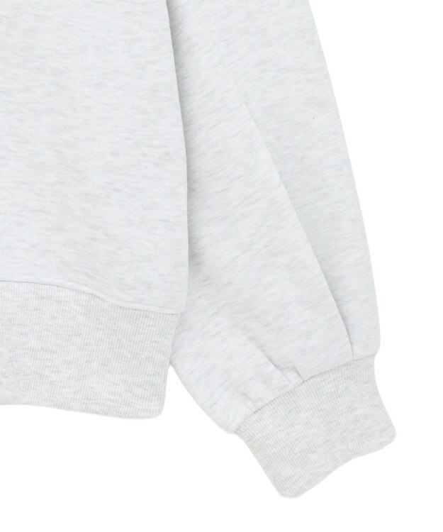 AMERICAN HOLIC カレッジロゴ裏起毛プルオーバー Gray Mixture