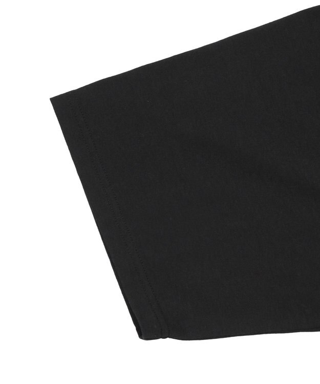 WEGO ダメージアップリケグラフィックT（SS） ブラック