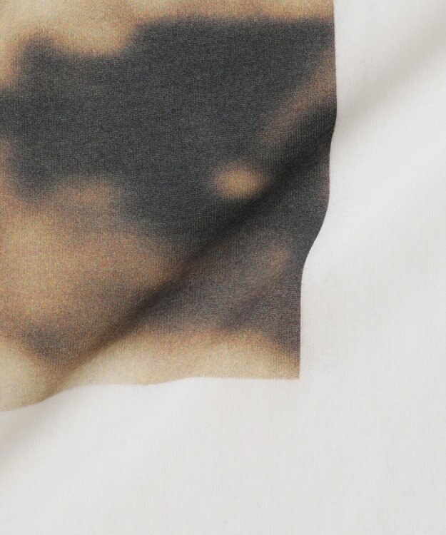 CRAFT STANDARD BOUTIQUE 接触冷感/フォトプリントTEE C