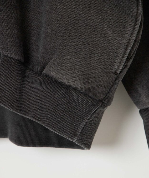 WEGO ピグメントハーフZIPロゴプルパーカー スミクロ