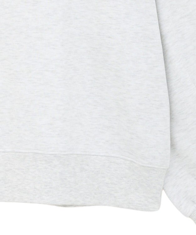 AMERICAN HOLIC カレッジロゴ裏起毛プルオーバー Gray Mixture