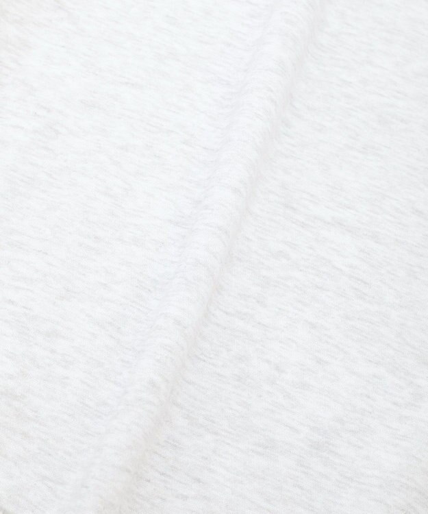 AMERICAN HOLIC カレッジロゴ裏起毛プルオーバー Gray Mixture