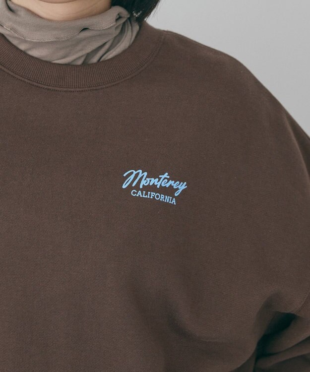 AMERICAN HOLIC サガラ刺繍裏毛プルオーバー Brown