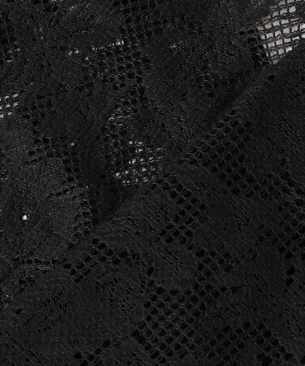BEIGE， FLUORITE / 異素材コンビ レースブラウス Black
