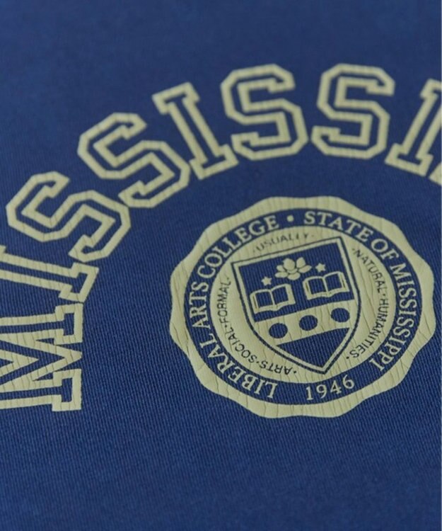 WEGO 【ANGIE VINTAGE】ピグメントカレッジロゴショートスウェット ネイビー