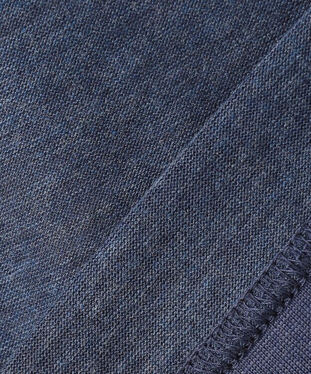 JOSEPH ABBOUD MOUNTAIN 【SPACE】OGスラブプレーティング天竺 ポロシャツ ブルー系