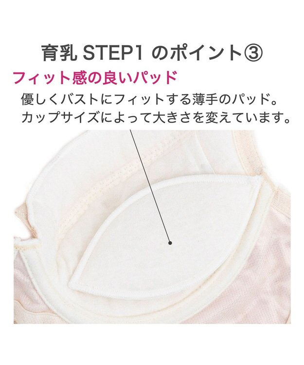 BRADELIS New York 【BRADELIS New York / 育乳補整ブラ・STEP1 集める】ウェンディステップ1ブラ24S2 シャンパン