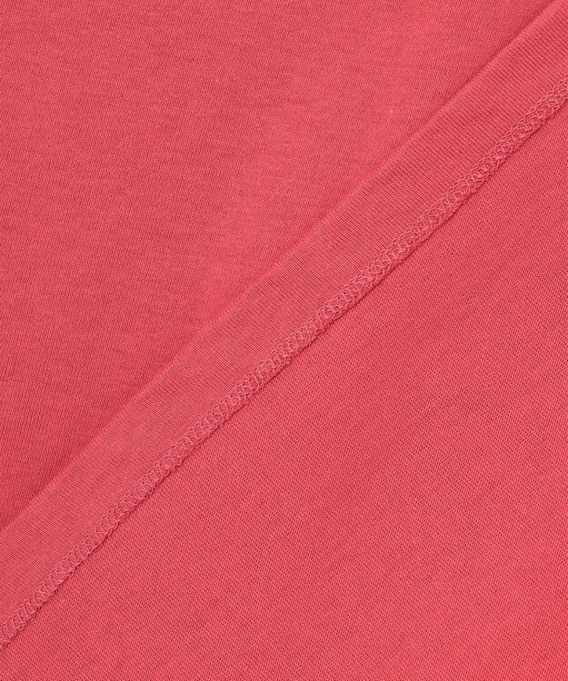 ANY POLO BCS別注 プルオーバー ピンク