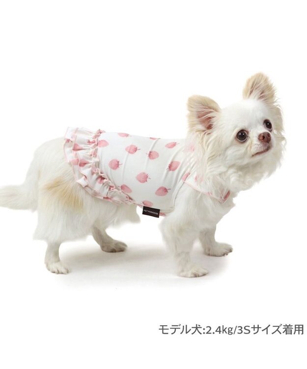 PET PARADISE ペットパラダイス タッチワンクールプラス Tシャツ 《いちご》 小型犬 ホワイト×ピンク
