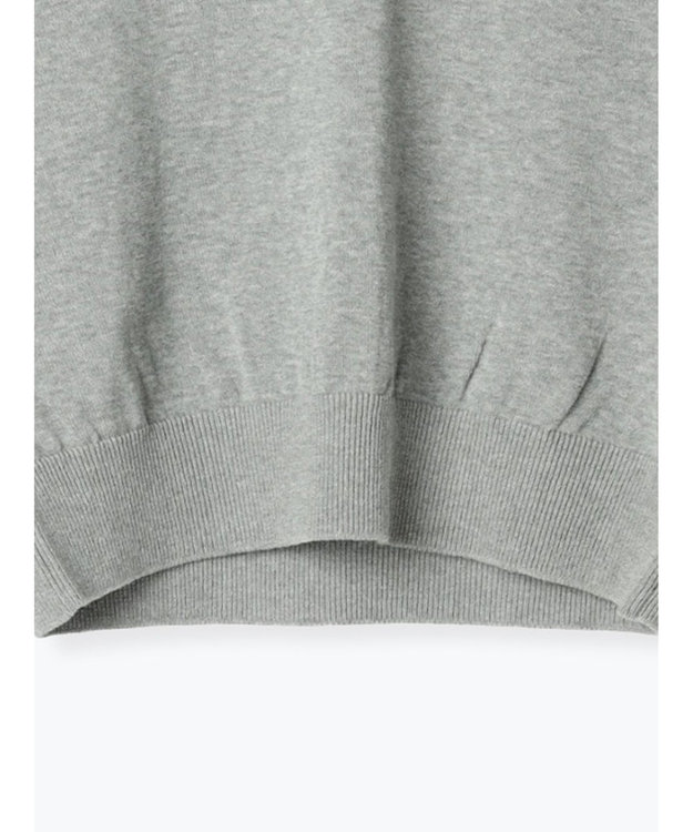 Te chichi コンパクトクルーネックニット【AOYAMA FASHION ASSOCIATION × Te chichi】 グレー