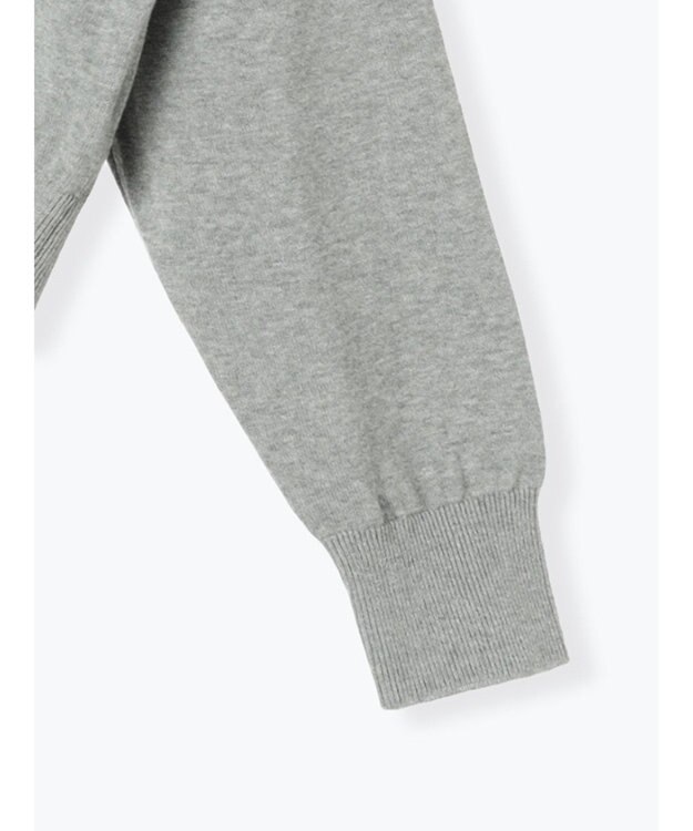 Te chichi コンパクトクルーネックニット【AOYAMA FASHION ASSOCIATION × Te chichi】 グレー