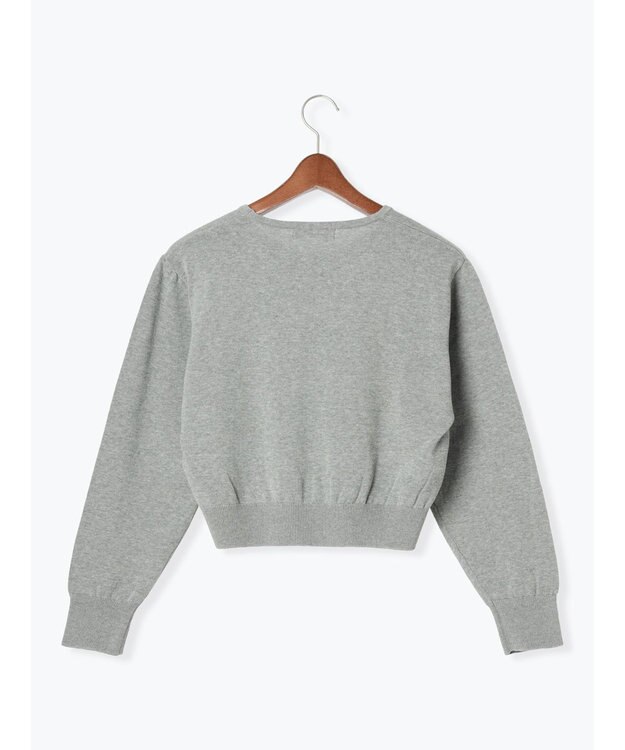 Te chichi コンパクトクルーネックニット【AOYAMA FASHION ASSOCIATION × Te chichi】 グレー