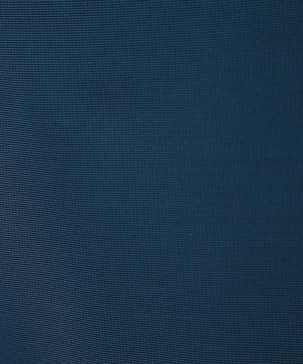 Green Parks ・ＥＬＥＮＣＡＲＥ　ＤＵＥ　カラーｓｔフレアスカート Blue