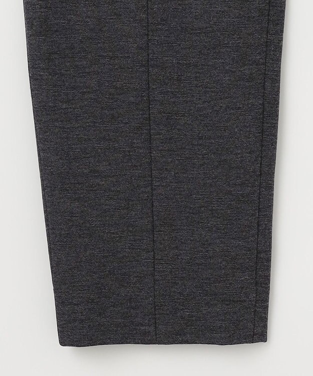 J.PRESS LADIES 【洗える】DUALWARMベアポンチ パンツ グレー系