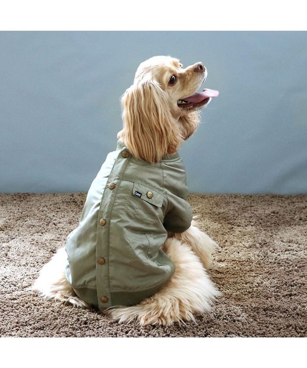 PET PARADISE LEE ライダースブルゾン 中型犬 大型犬 カーキ
