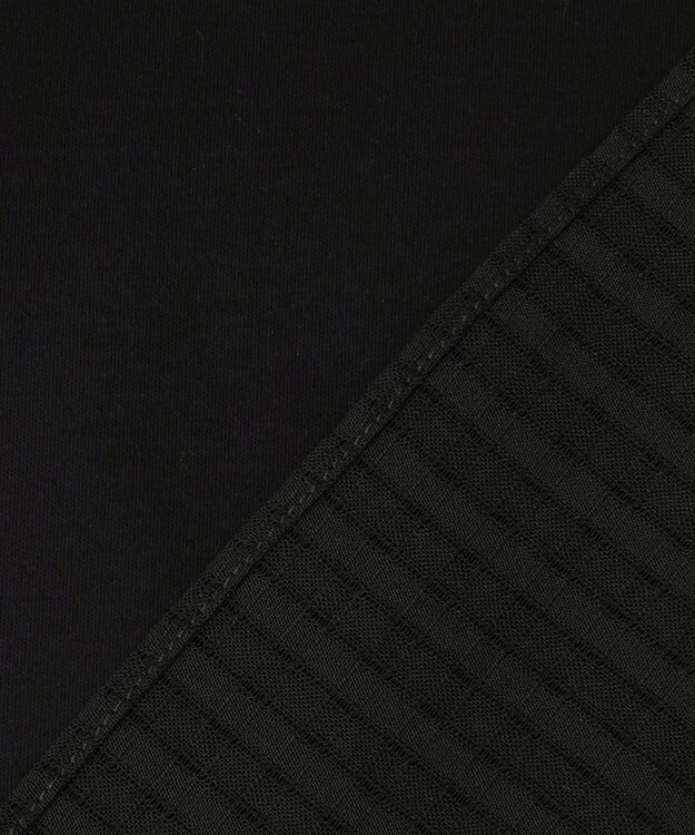 J.PRESS LADIES 【WEB限定カラーあり】レイヤードフレア カットソー 【WEB限定カラー】ブラック系