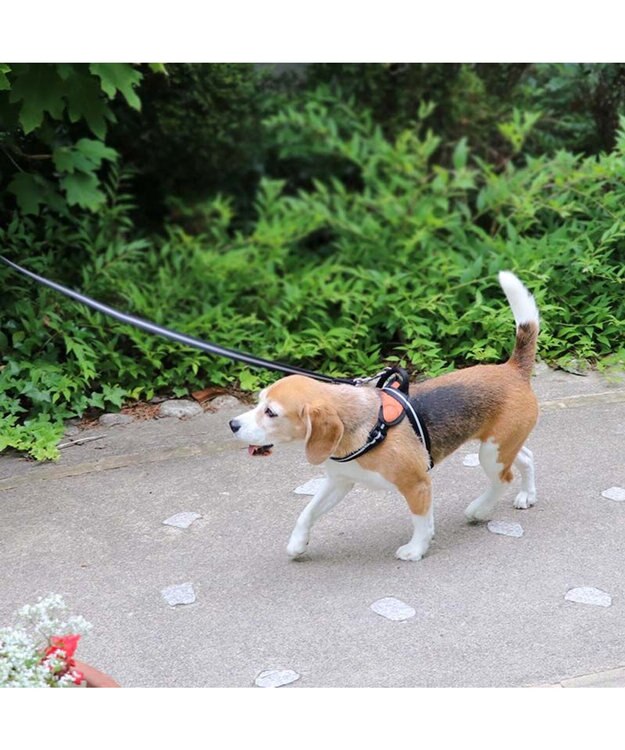 PET PARADISE 両面反射リード ブラック120cm【ＳＭ】 黒