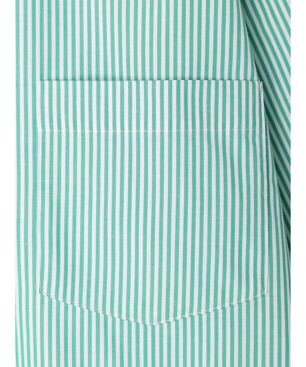 earth music&ecology ボーイズライクシャツ Stripe Green