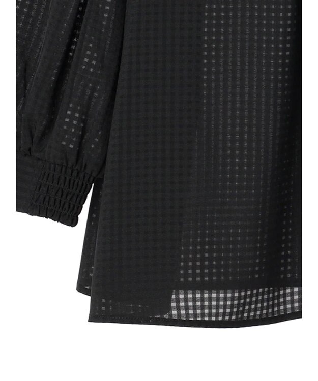 earth music&ecology Ｃｈｅｃｋドビーブラウス Black