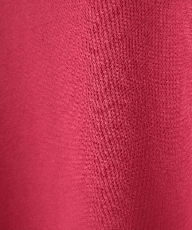 Green Parks ミッキー＆フレンズ／半起毛裏毛プルオーバー Red