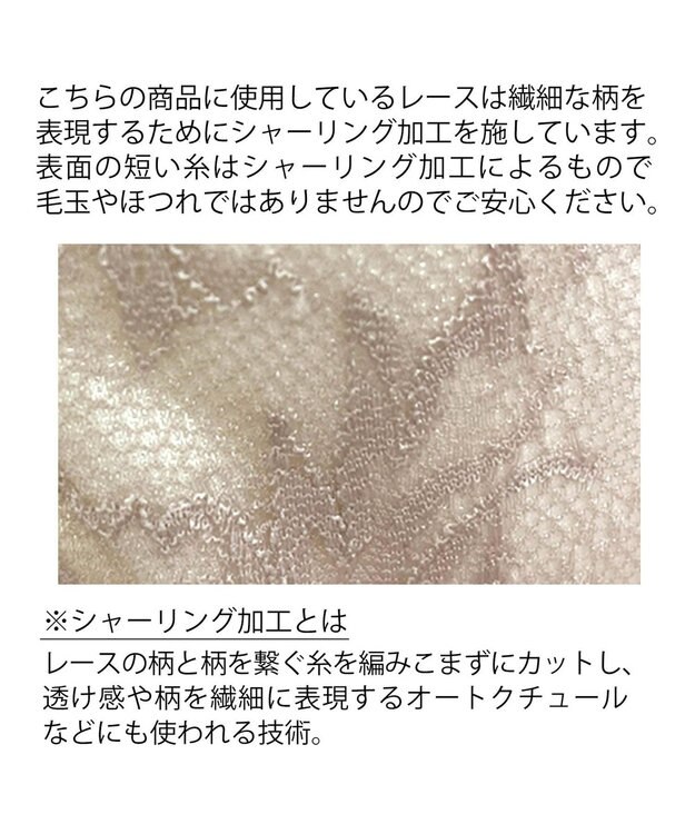 BRADELIS New York 【BRADELIS New York】サポートバックラインスタイルショーツ22A1 グレージュ