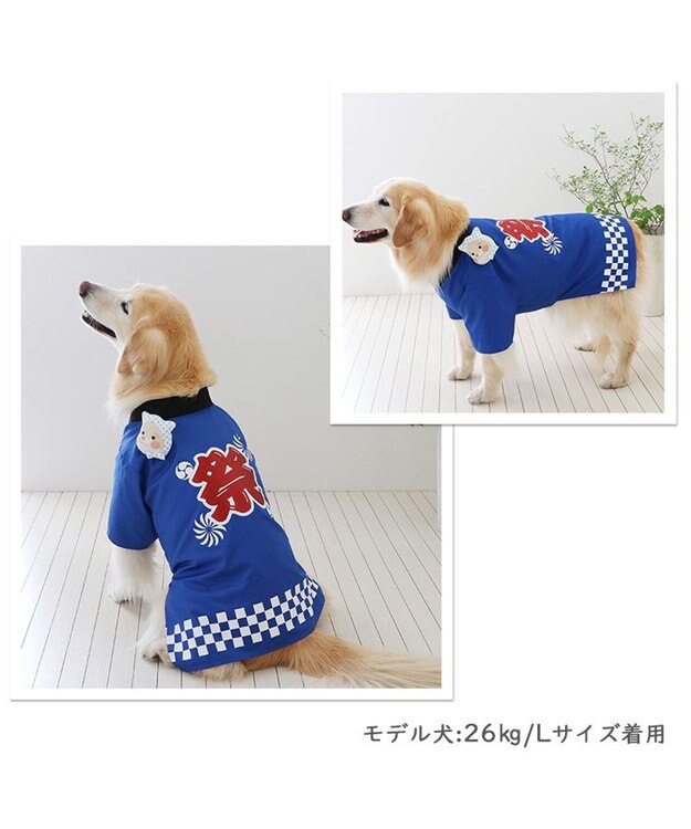PET PARADISE 犬の服 夏 犬服 ひょっとこ面 お祭り 法被 【中型犬】 【大型犬】 青