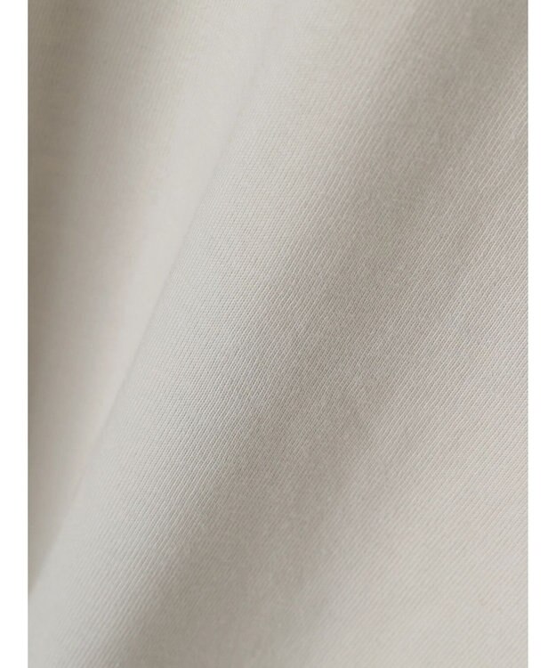 AMERICAN HOLIC 抜け衿カットプルオーバー Light Gray