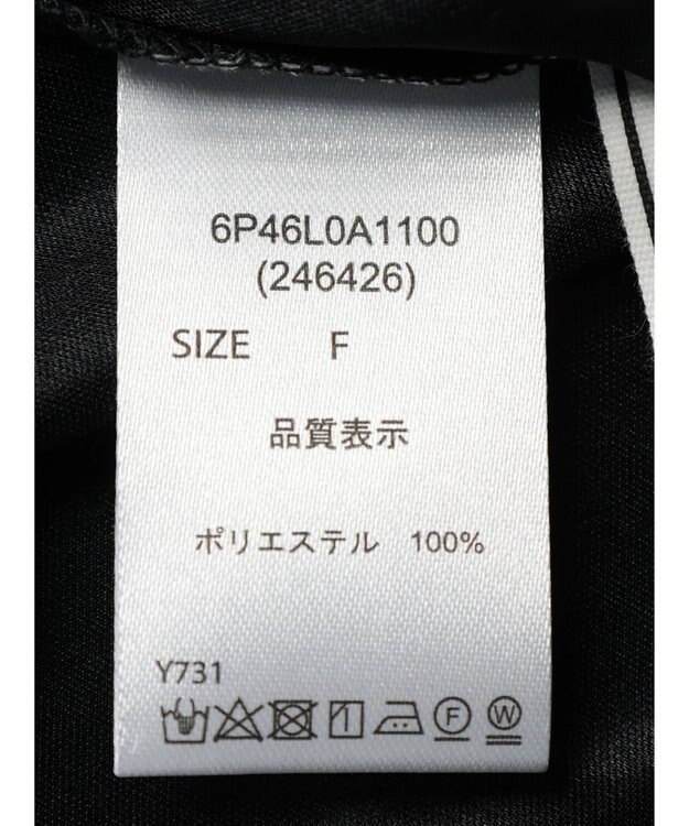 Green Parks ・ＥＬＥＮＣＡＲＥ　ＤＵＥ　チュールギャザーブラウス Black