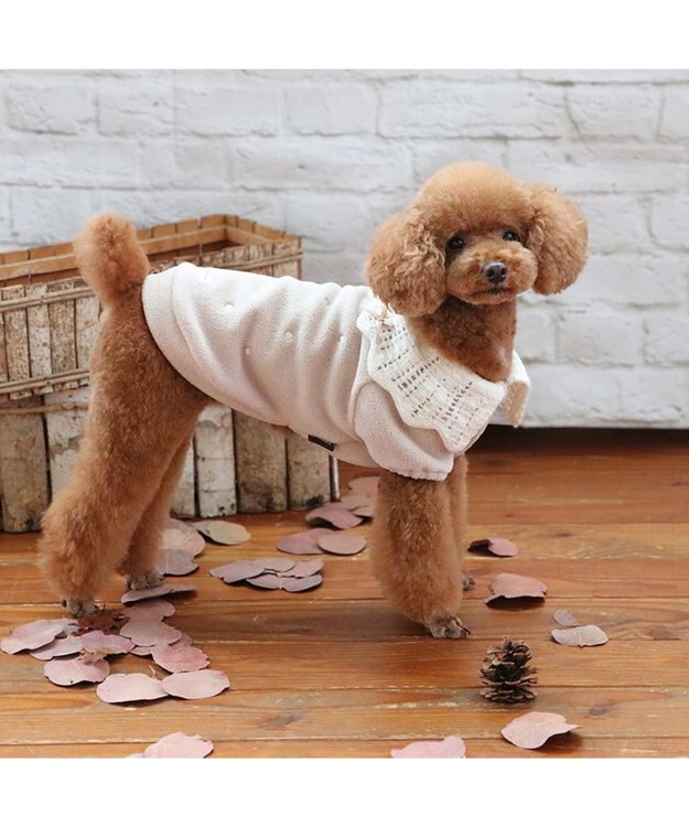 PET PARADISE ペットパラダイス ワンダフル ストレッチ フリース 《 ニット襟 》小型犬 茶