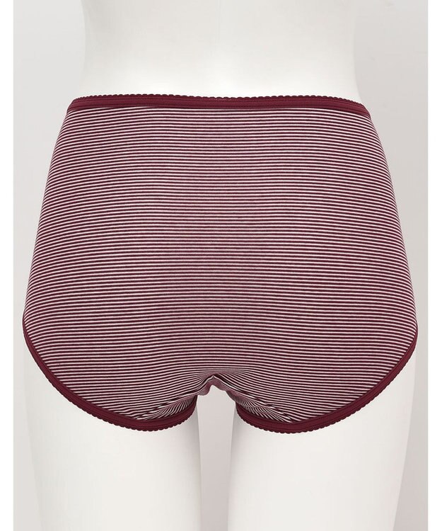 Wing ショーツ　【デイリーフィット】　ボーダー柄　はきこみ丈ふかめ　ウイング／ワコール　EC3620 バイオレット