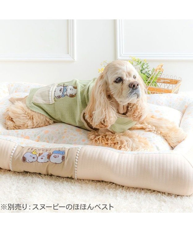 PET PARADISE スヌーピー カドラー ＬＬ 《のほほん柄》　 ライトベージュ