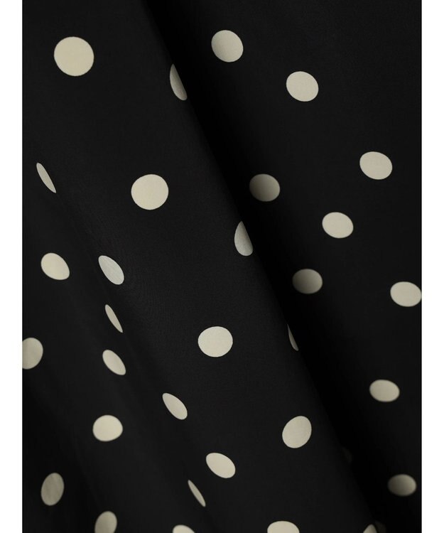 Green Parks ・ＥＬＥＮＣＡＲＥ　ＤＵＥ　ドットタフタスカート Black