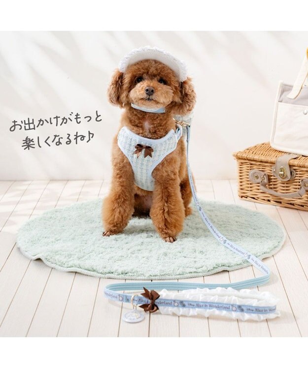 PET PARADISE ディズニー アリス リュックハーネス ３Ｓ ブルー
