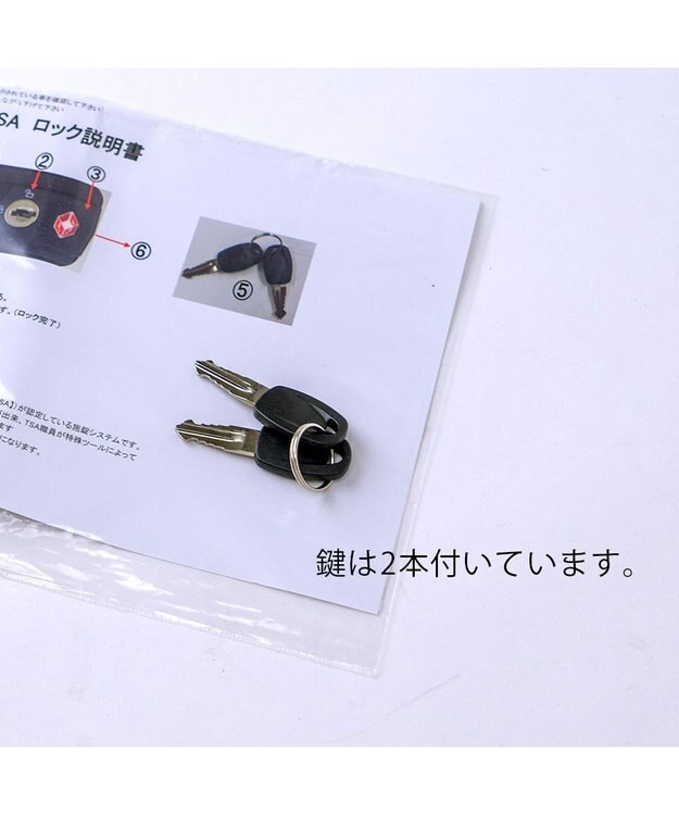 tsumori chisato CARRY 新ネコドットキャリー キャリーバッグ キャリーケース 【 機内持ち込み 約32リットル 1泊 2泊程度 】 ベージュ