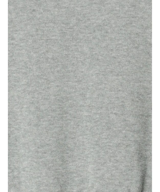 Te chichi コンパクトクルーネックニット【AOYAMA FASHION ASSOCIATION × Te chichi】 グレー