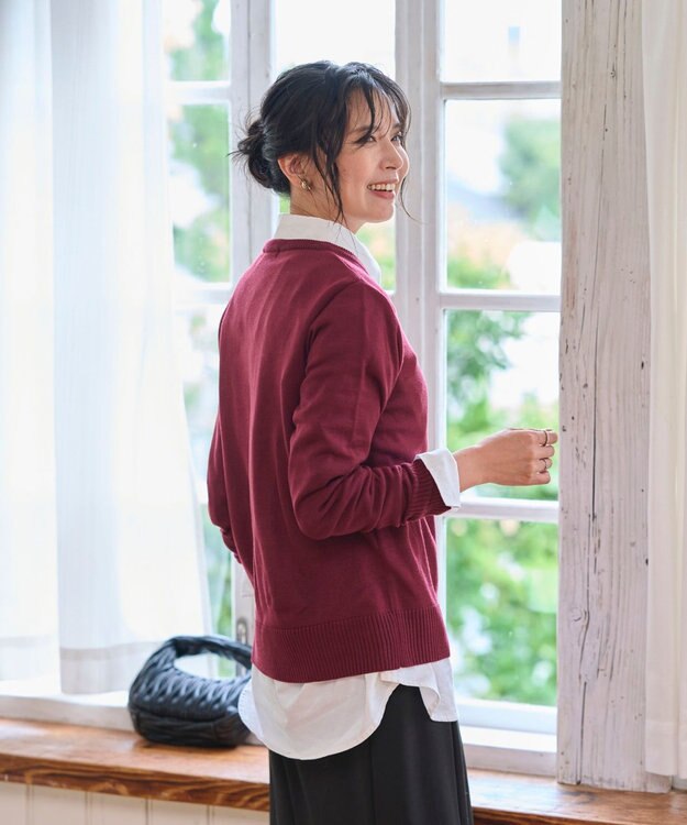 WEGO 【WEB限定/2025年秋冬新作/洗濯OK/毛玉レス/MLXLサイズ展開/オフィス/カジュアル】ベーシックニットセーター ワイン