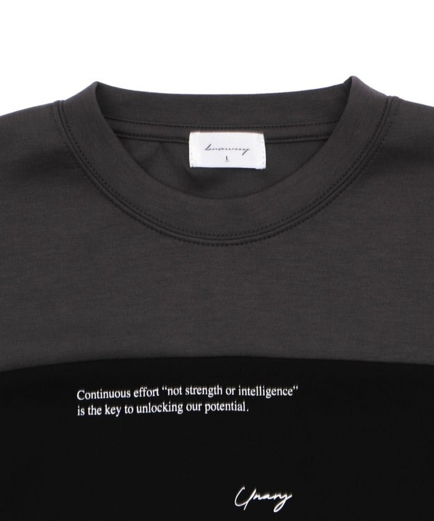 WEGO ポンチカラーパネルT（SS） ブラック中濃色