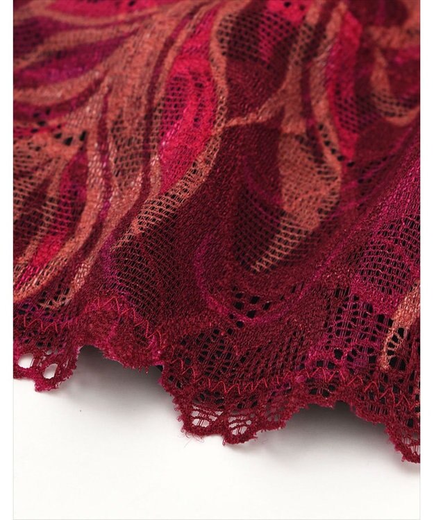 WACOAL MEN WACOAL MEN 【レースブリーフ】 Tバック ブリーフ 裏打ち付き(前身頃) 前閉じ レース 下着 メンズ WF1826 /ワコールメン レッド