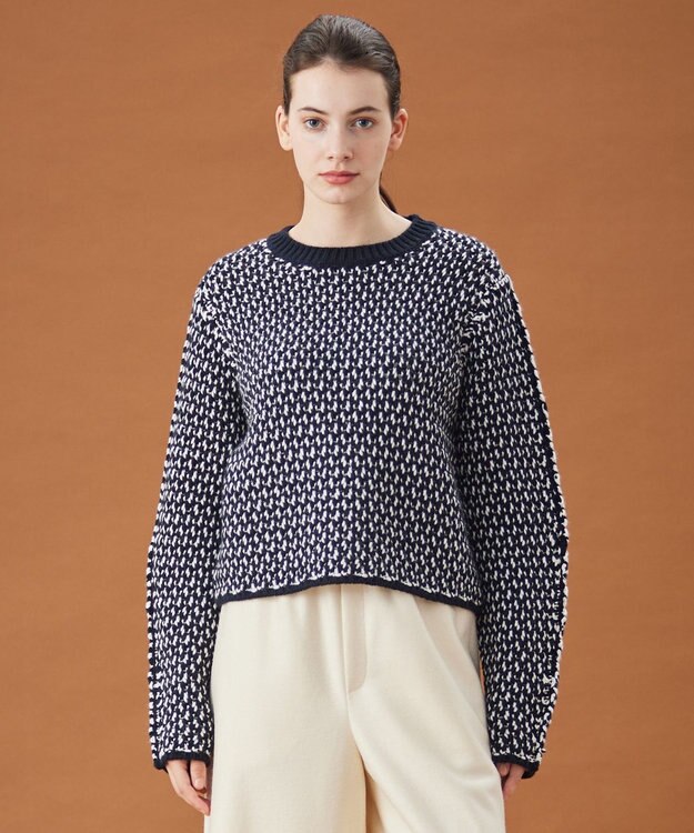 BEIGE， VARENNE / ショートレングスニット Navy×White